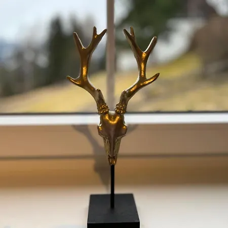 Only 200 M From Lift With Sauna * 巴德小基希海姆