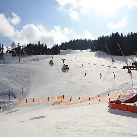 Only 200 M From Lift With Sauna Bad Kleinkirchheim